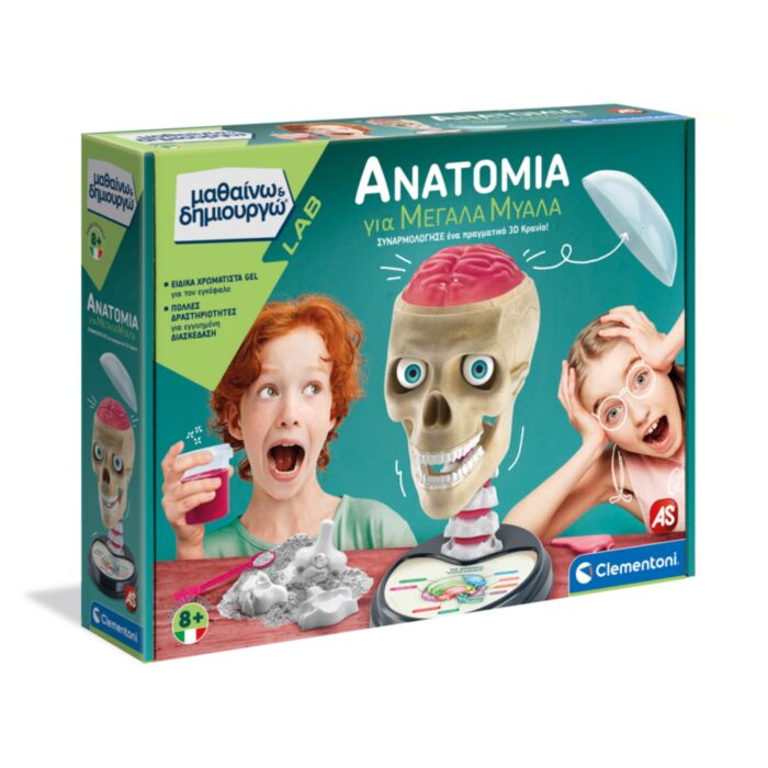 Μαθαίνω Και Δημιουργώ Lab Εκπαιδευτικό Παιχνίδι Ανατομία Για Μεγάλα Μυαλά Για 8+ Χρονών